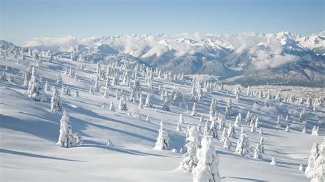  《雪景山水圖》: 傲骨蒼松與靜謐山色